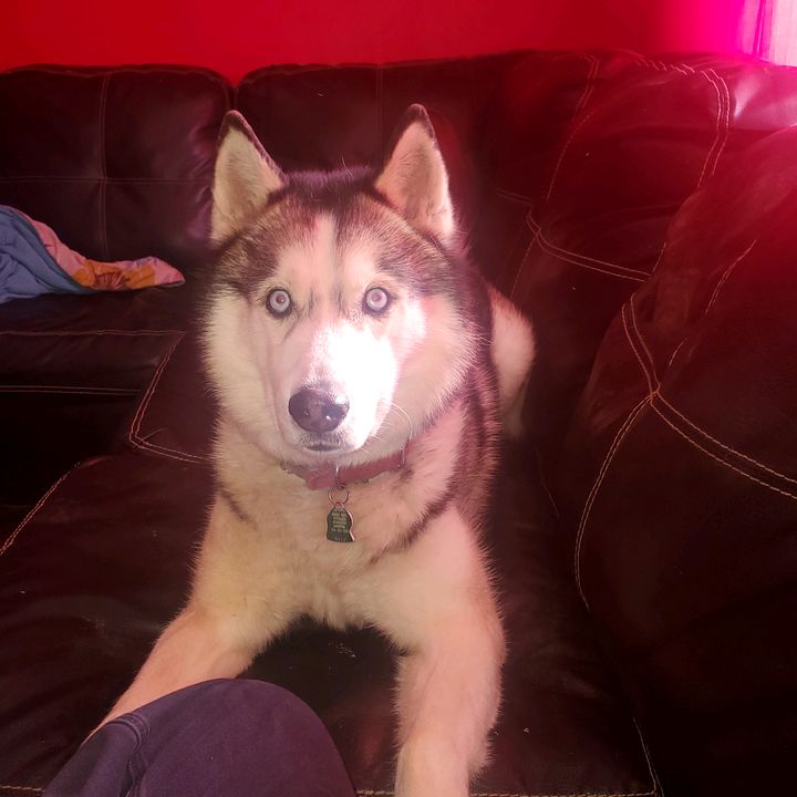 Daniel Nie Twoj Bizn - Tiktok Profile Picture of Daniel Nie Twoj Bizn (@daniel88pl) on Tiktok