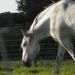 Profile Picture of EarthChiHealing (@mperrini) on Pinterest