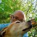 Profile Picture of Kim Holston (@kim.holston.790) on Facebook