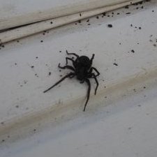 Profile Picture of John P Fleig (@p44fleig) on Twitter