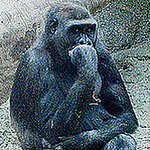 Profile Picture of Greg Masters (@greg masters) on Flickr