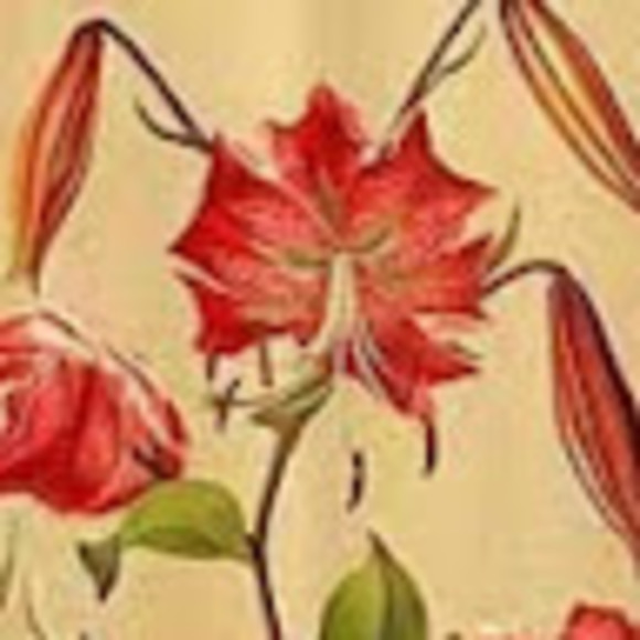 Profile Picture of Dylan Clement (@dylanclement560) on Poshmark