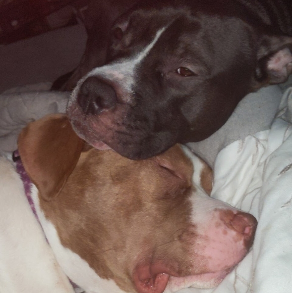 Profile Picture of Heather Pruitt-bradshaw (@hdb2377) on Poshmark