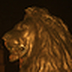 Profile Picture of Paul.gummer (@paul.gummer) on Flickr