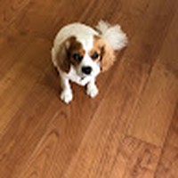 Luke Skaljac - Quora Profile Picture of Luke Skaljac (@luke-skaljac) on Quora