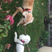 Profile Picture of Paula Logan (@paula-logan-1) on Quora