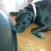 Profile Picture of Lorrie Laack (@lorrielaack) on Pinterest