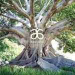 Profile Picture of jodys/Arbonne (@jodyaltmyer) on Instagram