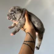 Profile Picture of Jonathon Mayfield (@donovangates2294) on Youtube