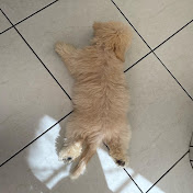 Profile Picture of Alex Mira (@alexmira9100) on Youtube