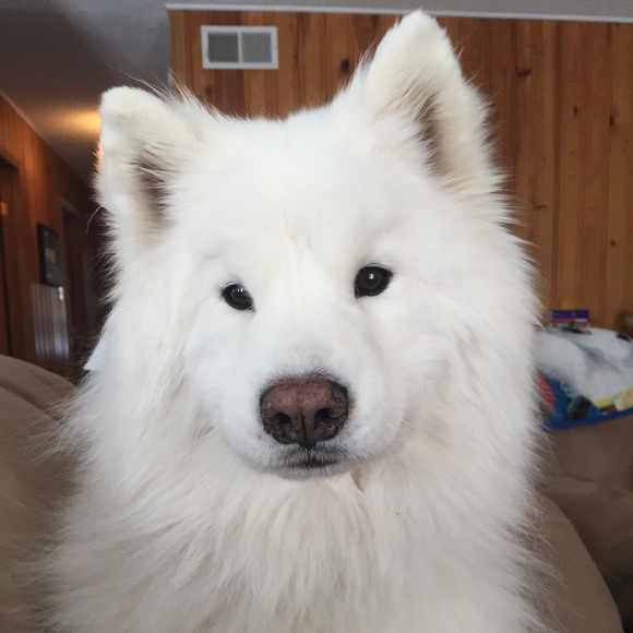 Lisa Mcglinchey - Poshmark Profile Picture of Lisa Mcglinchey (@lisa82_m) on Poshmark