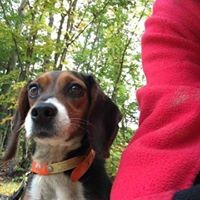 Profile Picture of Patrick Caska (@patrick-caska) on Quora