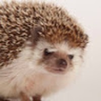 Profile Picture of Benjamin Rousseau (@benjamin-rousseau-9) on Quora