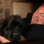 Profile Picture of markmolinaro (@markmolinaro) on Instagram