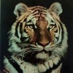 Profile Picture of David Yardley (@yardley.d) on Instagram