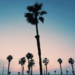 Profile Picture of ryandetlefs (@ryandetlefs) on Instagram
