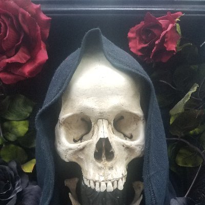 Profile Picture of Davey Jones (@scott_moring) on Twitter