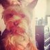 Profile Picture of Lorri Reeds (@lorri.reeds) on Facebook