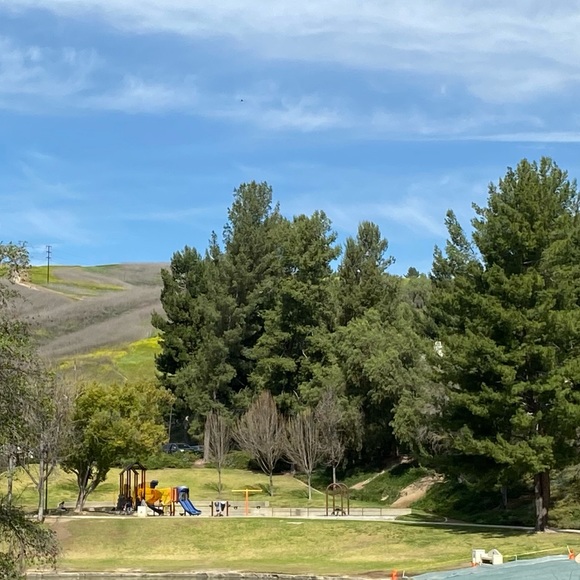 Profile Picture of Hannah Chou (@chouh6847) on Poshmark