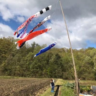Profile Picture of Damian Hackett (@damian_hackett) on Twitter
