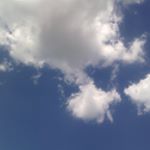 Profile Picture of Joyce Reynolds (@joycereynold) on Instagram