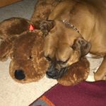 Lucas Ryan Brooks - Instagram Profile Picture of Lucas Ryan Brooks (@lucas_brooks_12) on Instagram