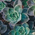 Profile Picture of Claude Schell (@claude.schell.16) on Facebook