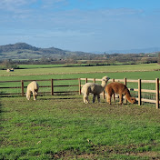 Profile Picture of Sam Day (@samday5857) on Youtube