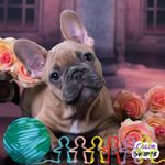 Profile Picture of David Molton (@david.molton.73) on Instagram