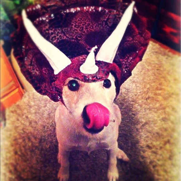 Profile Picture of Janet Thomas (@carlbutkus) on Poshmark