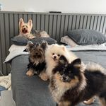 Profile Picture of Sofia, Loren, Travis & Scott (@soso.lolinha.tete.scott) on Instagram