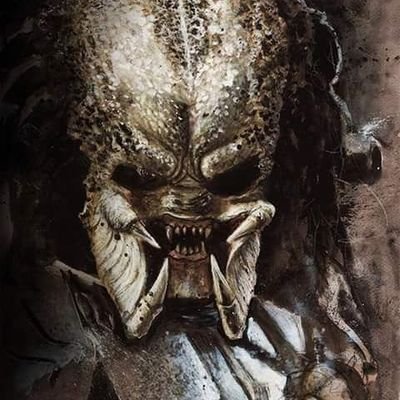 Profile Picture of Calvin Mohr (@MohrCalvin) on Twitter