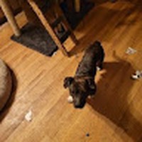 Profile Picture of Lora Scott (@lora-scott-25) on Quora