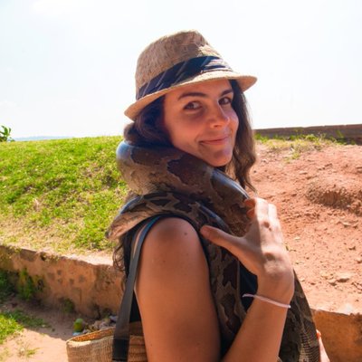 Profile Picture of Travel Deal Dove (@TravelDealDave) on Twitter