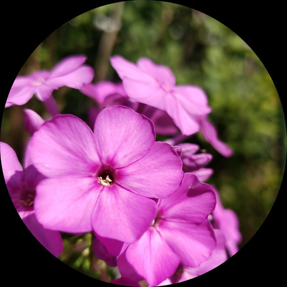 Profile Picture of Maciej Zychowski (@kapricorn25) on Poshmark