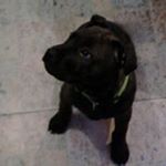 Profile Picture of Craig Mckelvie (@craig.mckelvie.cm.csm) on Instagram