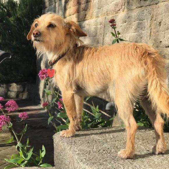 Profile Picture of Isabel Carrizosa (@isabelcarrizosa) on Poshmark