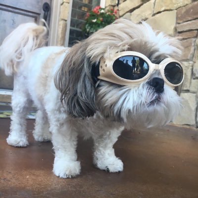 Profile Picture of Keenan Roberts (@keenanasaurus) on Twitter
