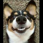 Profile Picture of Kimberly.W (@kimykowalski) on Instagram