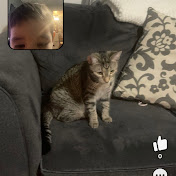 Profile Picture of Jacob Cortez (@JacobC144) on Youtube