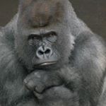 Profile Picture of Lance Mooney (@mooneylance) on Instagram