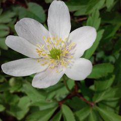 Profile Picture of Alex Romanek (@alexdance01) on Twitter