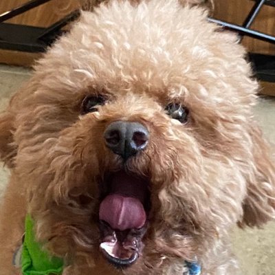 Profile Picture of Eduardo Perez (@PerezEd) on Twitter