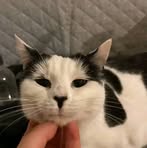 Profile Picture of Pamela Noland (@Pamela-Noland) on Facebook