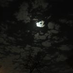 Profile Picture of Christopher (@chris__dela) on Instagram