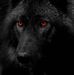 Profile Picture of Matt Cordova (@matt.cordova.988) on Facebook