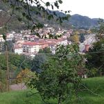 Profile Picture of Pulpi Lamponi (@pulpilamponi) on Instagram