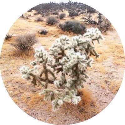 Profile Picture of Erik Hayden (@Erik_Hayden) on Twitter