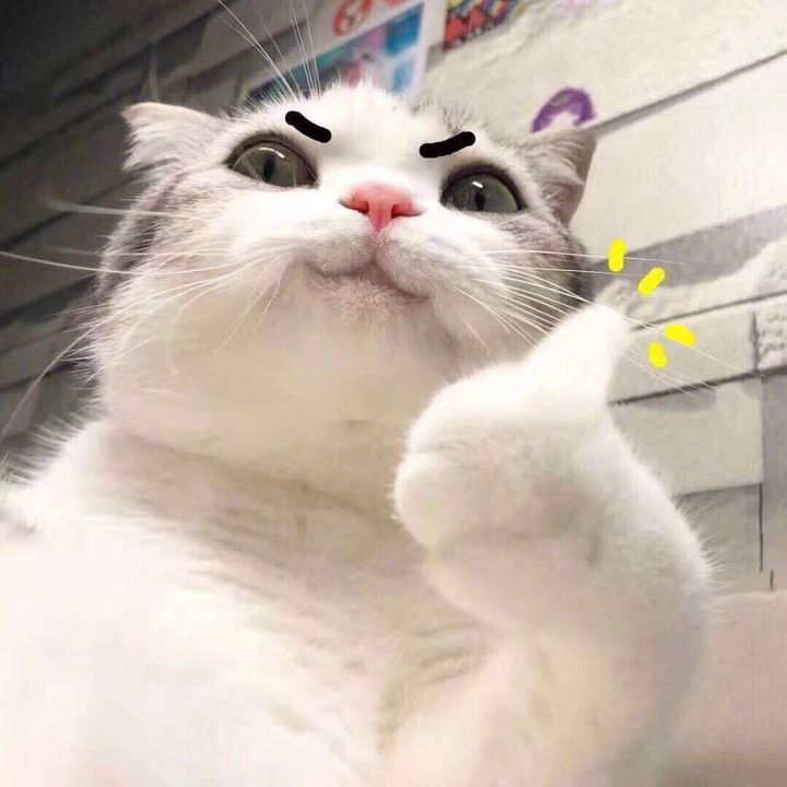 Profile Picture of Frankal (@franksample) on Tiktok