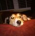 Profile Picture of Mavis Shurson (@mavis.shurson.50) on Facebook